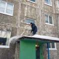 Информация для жителей  ул. Горького, д.37!